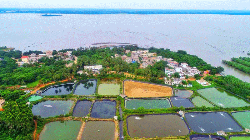 江西白鹭村旅游攻略_江西白鹭乡_江西白鹭古村