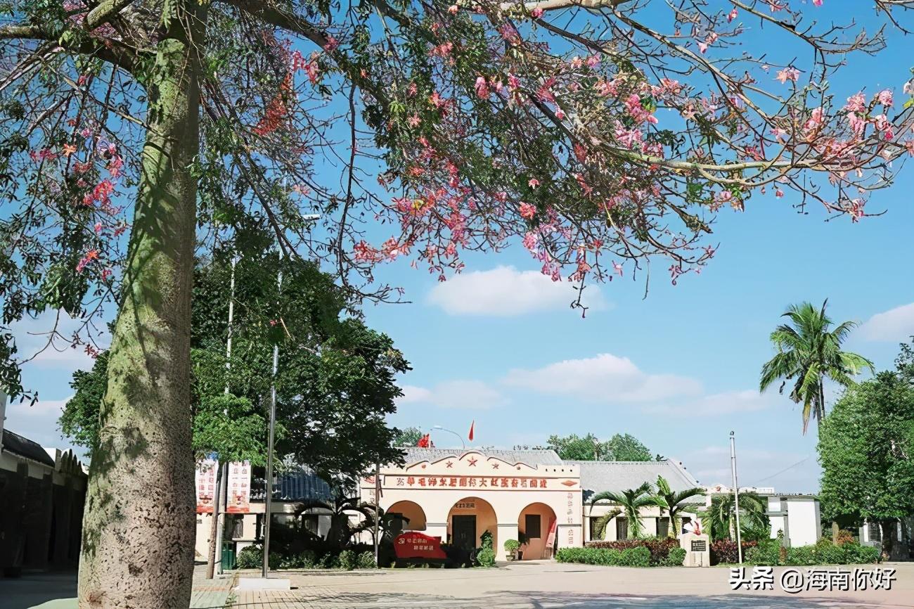 江西白鹭古村_江西白鹭村旅游攻略_江西白鹭乡