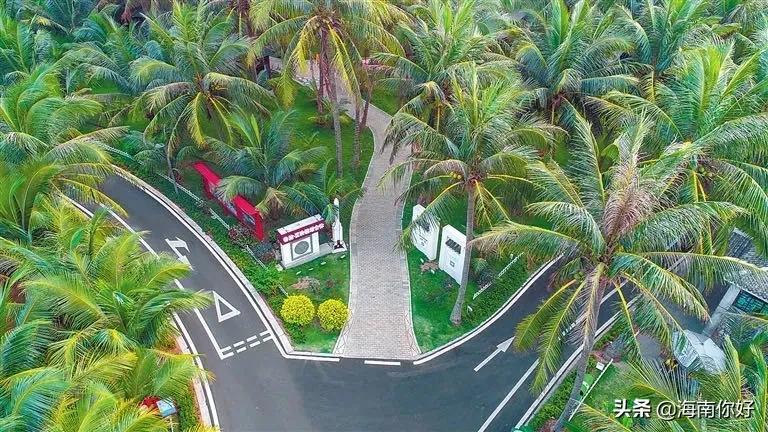 江西白鹭村旅游攻略_江西白鹭古村_江西白鹭乡