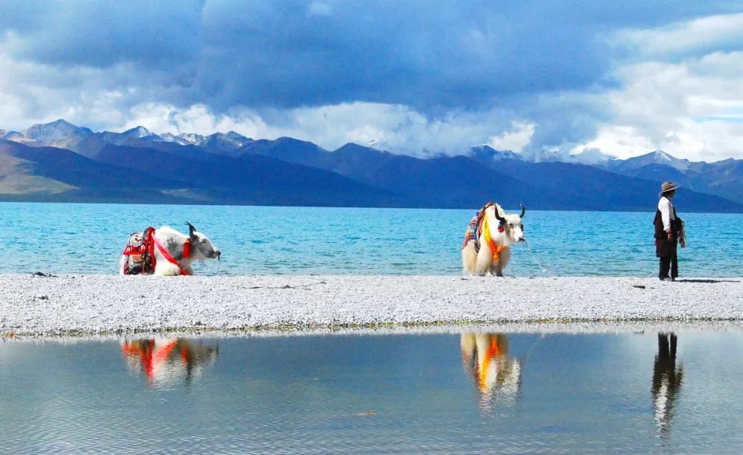 兰州自驾拉萨攻略_兰州到拉萨旅游攻略_兰州到拉萨旅游团4日