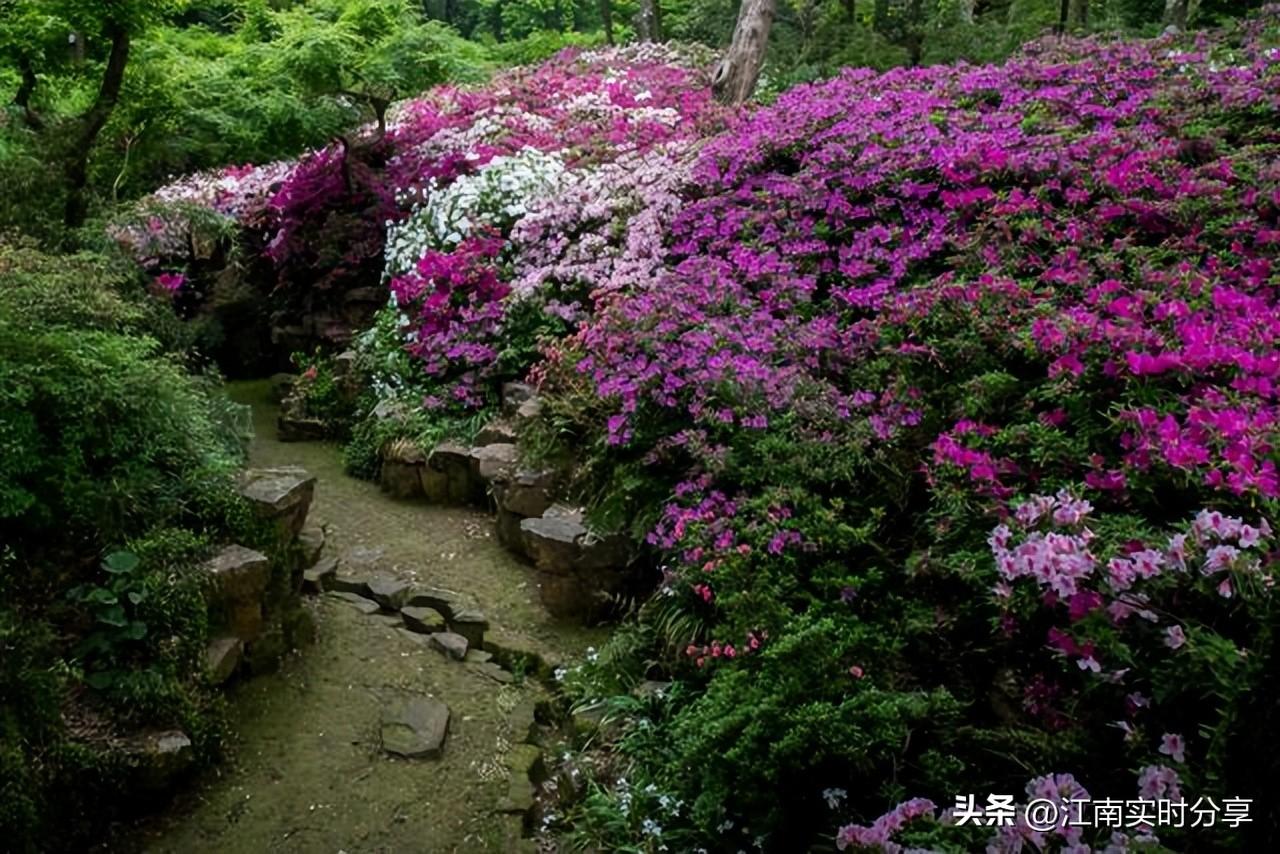 无锡梅园旅游攻略_无锡攻略旅游梅园景区_无锡攻略旅游梅园景点