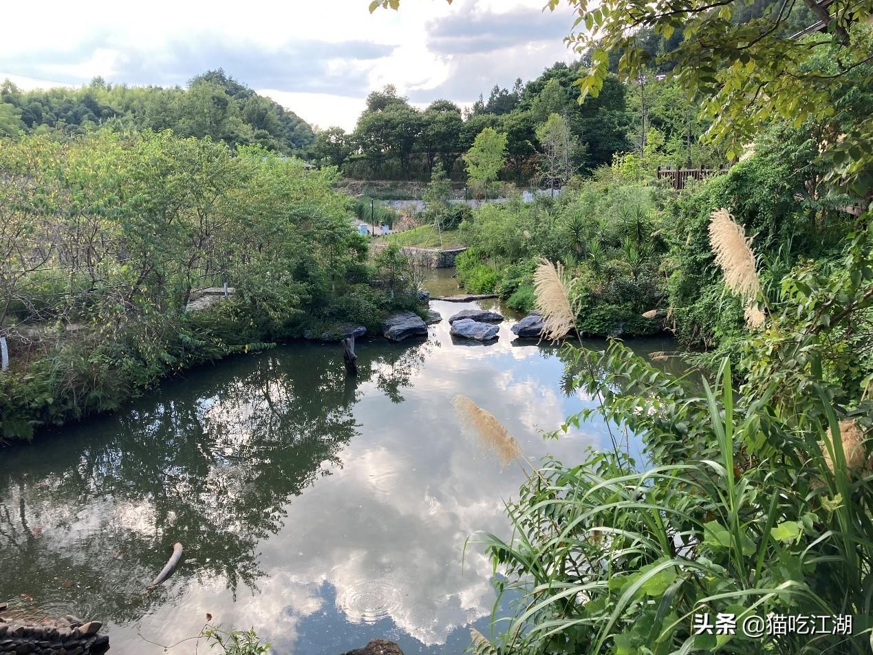 江西白鹭村旅游攻略_江西白鹭湖景区_江西攻略白鹭旅游村