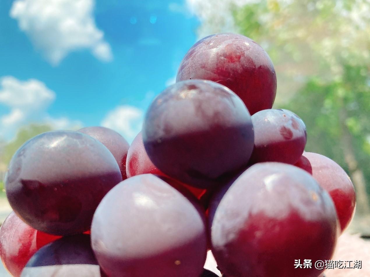江西白鹭村旅游攻略_江西攻略白鹭旅游村_江西白鹭湖景区