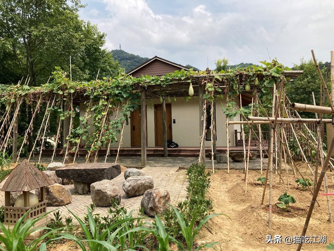 江西攻略白鹭旅游村_江西白鹭湖景区_江西白鹭村旅游攻略