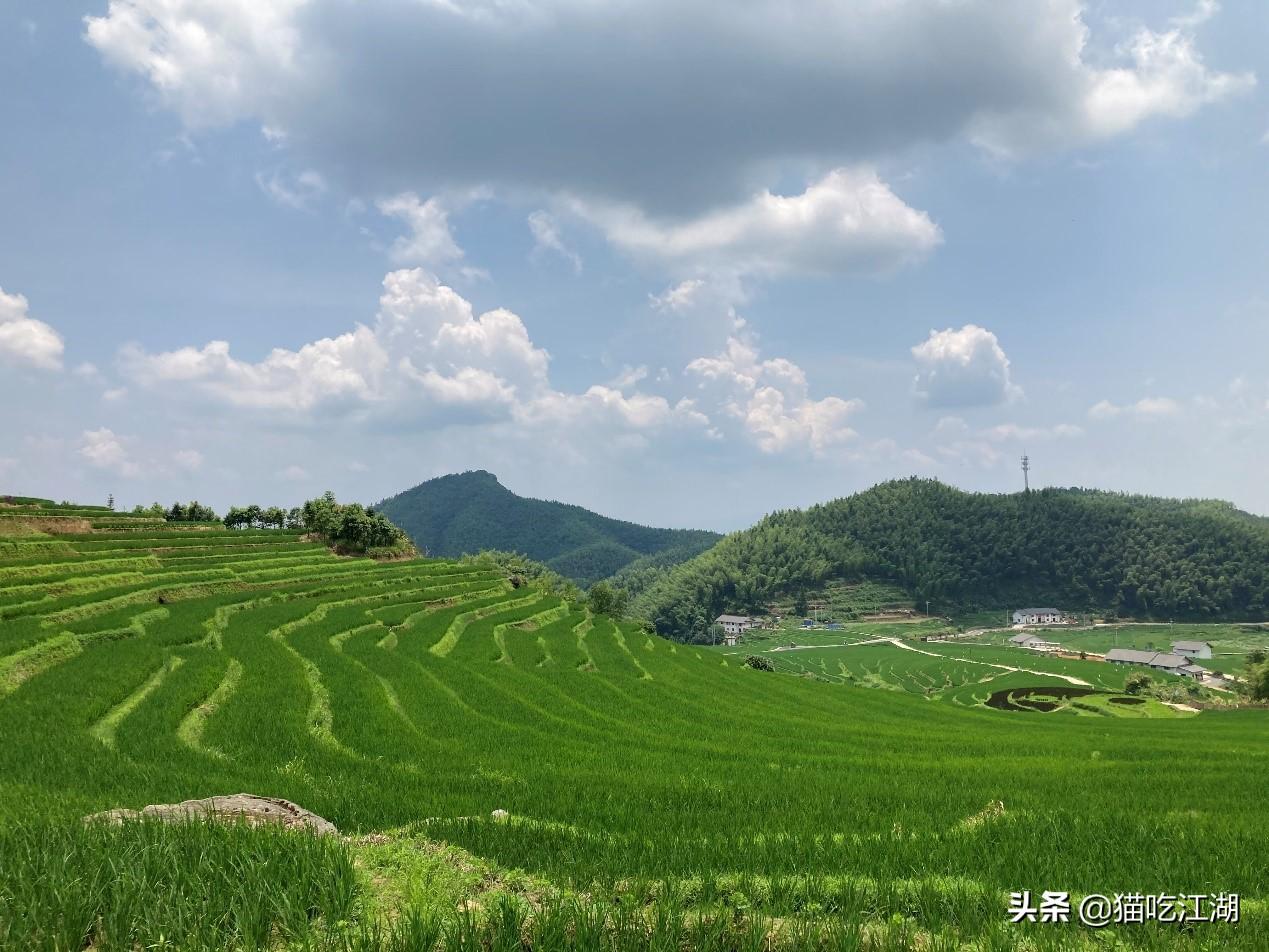江西白鹭村旅游攻略_江西攻略白鹭旅游村_江西白鹭湖景区