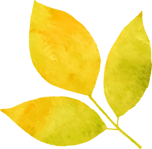 岫岩清凉山旅游攻略-岫岩的山(图1) 岫岩的山_岫岩清凉山旅游攻略_清凉山岫岩