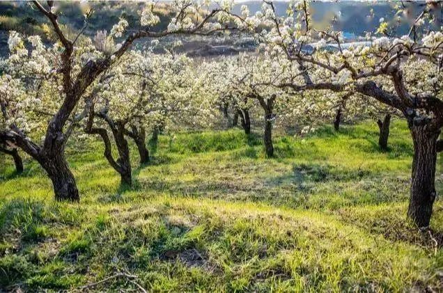 岫岩清凉山旅游攻略-岫岩的山(图26) 岫岩清凉山旅游攻略_清凉山岫岩_岫岩的山