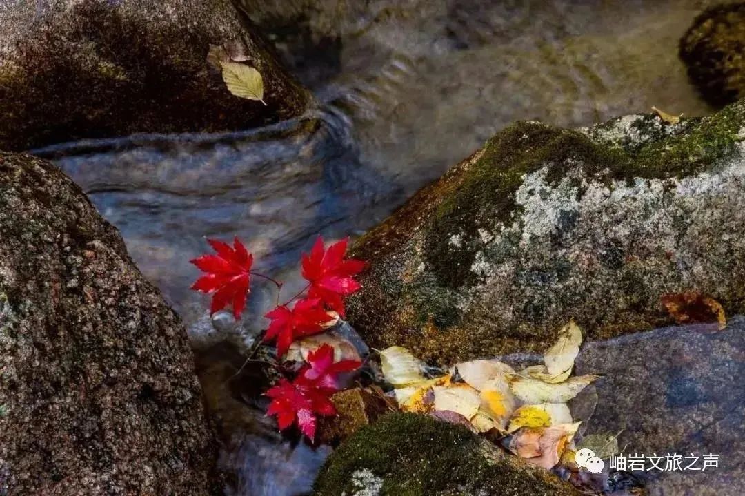 岫岩清凉山旅游攻略-鞍山岫岩景区(图10) 岫岩的山_岫岩清凉山旅游攻略_鞍山岫岩景区