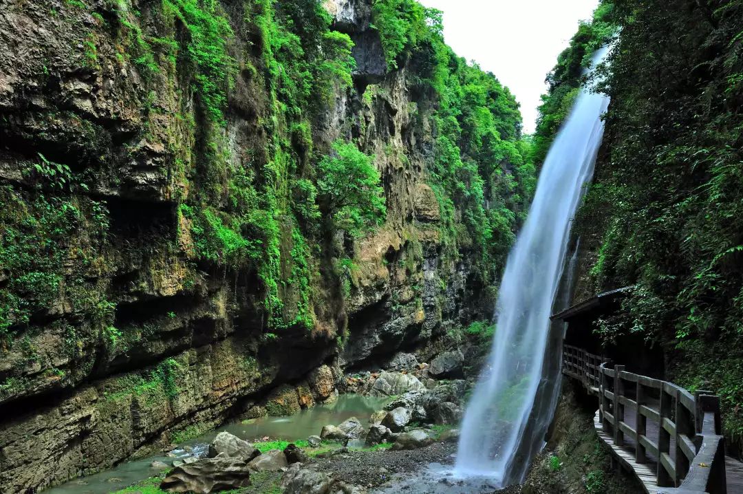 恩施到神农架旅游攻略-恩施神农架自驾(图20) 恩施到神农架旅游攻略_神农架恩施自驾游攻略_恩施神农架自驾