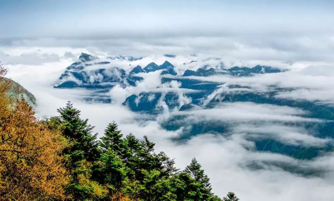 恩施到神农架旅游攻略-恩施神农架自驾(图30) 恩施神农架自驾_神农架恩施自驾游攻略_恩施到神农架旅游攻略