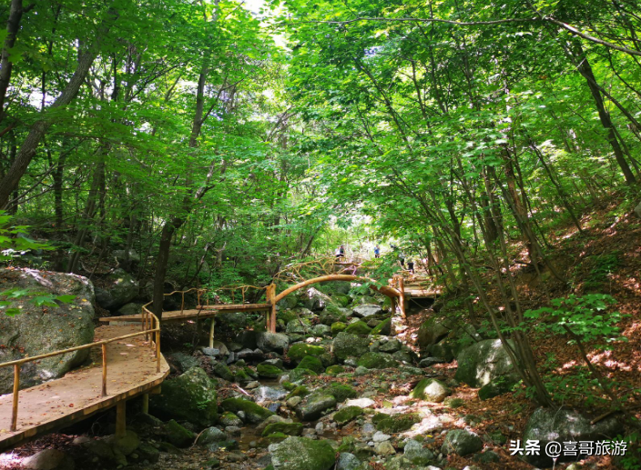 绿江村旅游攻略_绿江村自驾游旅游攻略_绿江村一日游
