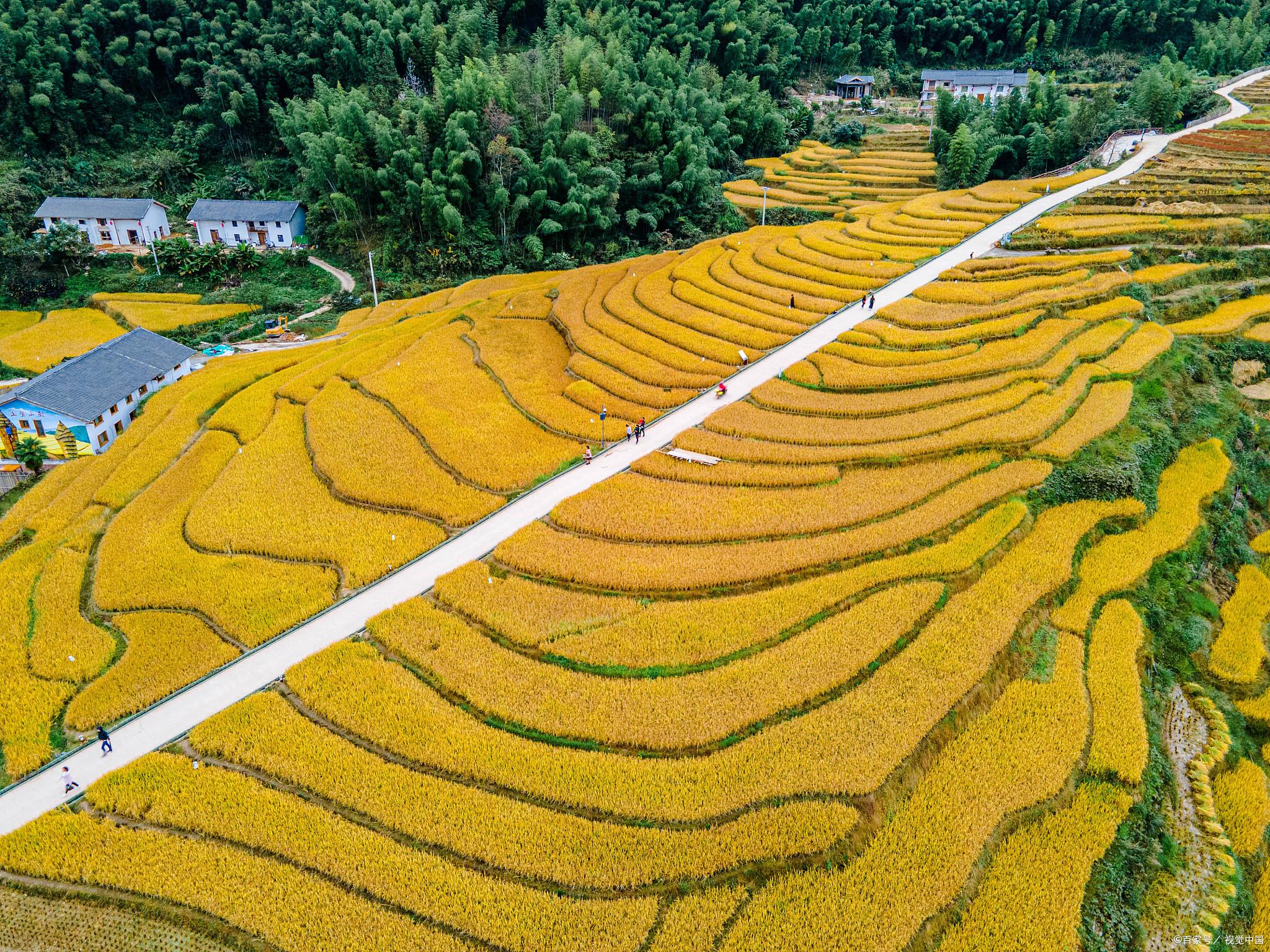 江西白鹭村在哪_江西白鹭村旅游攻略_江西攻略白鹭旅游村