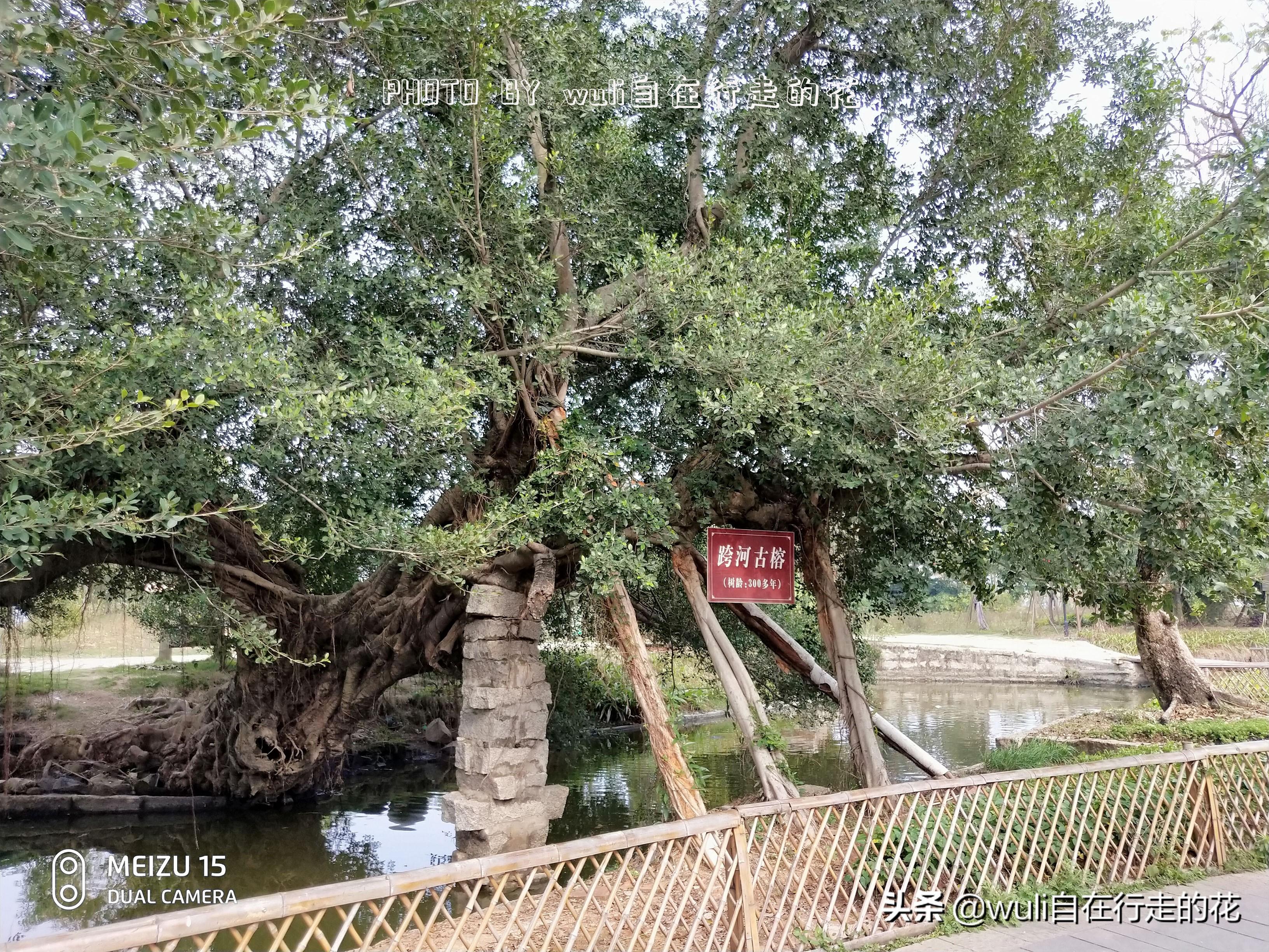 漳州海_漳州海门岛旅游攻略_漳州海门岛图片