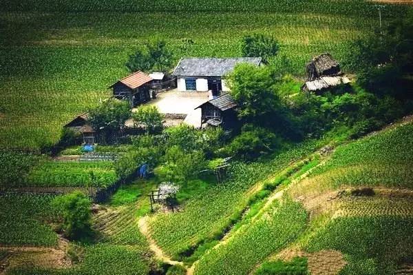 绿江村自驾游旅游攻略_绿江村旅游攻略_绿江村一日游