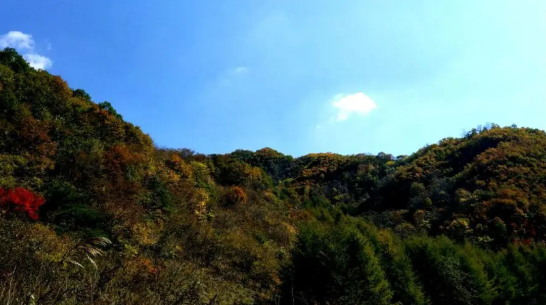 岫岩清凉山旅游攻略_岫岩风景区_鞍山岫岩景区