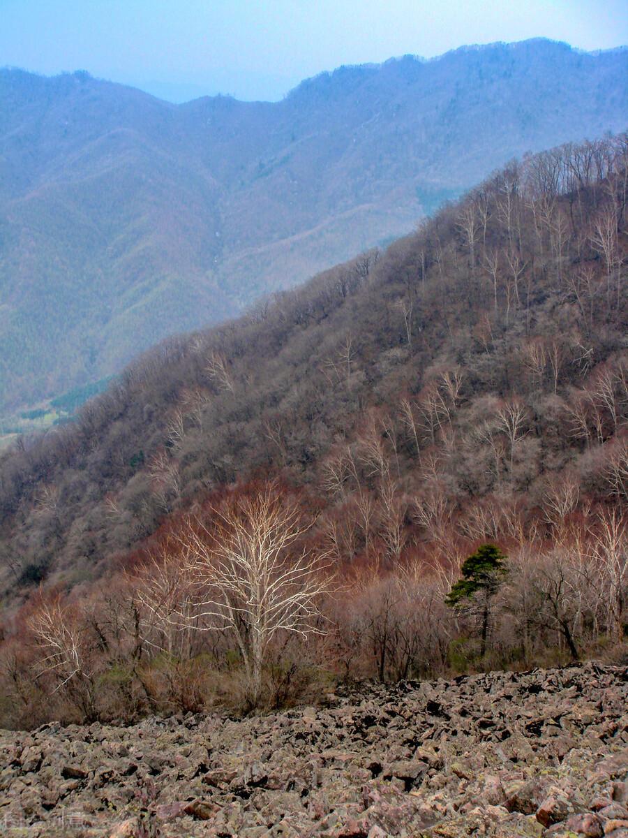 绿江村自驾游旅游攻略_绿江村旅游资源_绿江村旅游攻略