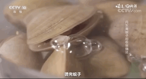 绿江村旅游资源_绿江村自驾游旅游攻略_绿江村旅游攻略