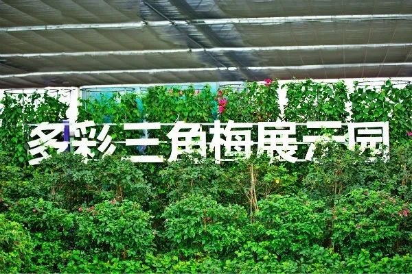 上林旅游攻略_上林旅游景点视频_上林旅游攻略一日游