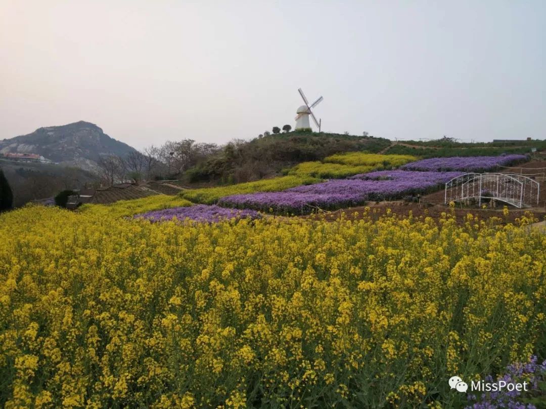 连云港连岛景区门票价格_连云港连岛游玩攻略_连云港连岛旅游攻略