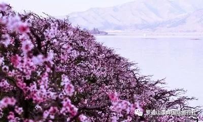 自助丹东凤凰山旅游攻略_丹东凤凰山附近有什么吃的_丹东凤凰山一日游多少钱