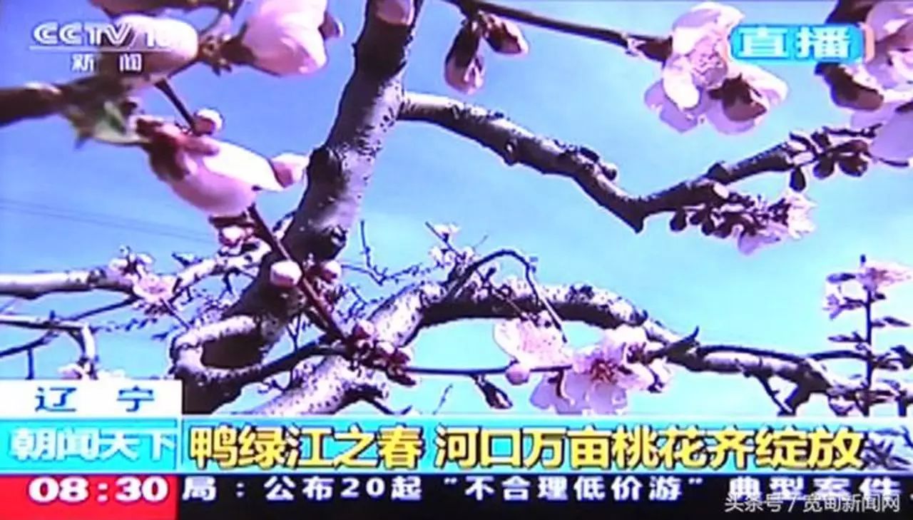 自助丹东凤凰山旅游攻略-丹东凤凰山自驾游攻略(图1) 丹东凤凰山自驾游攻略_丹东凤凰山附近有什么吃的_自助丹东凤凰山旅游攻略