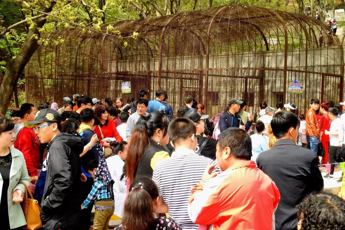 自助丹东凤凰山旅游攻略-丹东凤凰山自驾游攻略(图17) 丹东凤凰山自驾游攻略_丹东凤凰山附近有什么吃的_自助丹东凤凰山旅游攻略