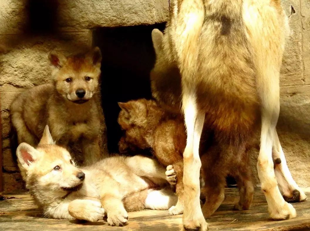 自助丹东凤凰山旅游攻略-丹东凤凰山自驾游攻略(图18) 丹东凤凰山附近有什么吃的_丹东凤凰山自驾游攻略_自助丹东凤凰山旅游攻略