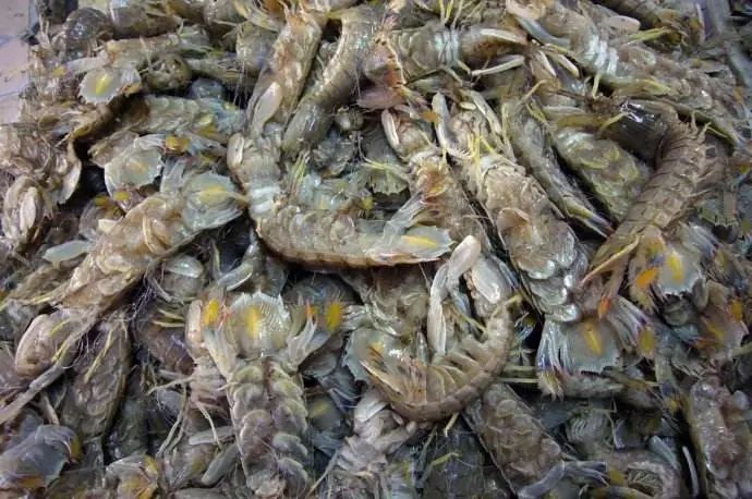 自助丹东凤凰山旅游攻略-丹东凤凰山自驾游攻略(图8) 丹东凤凰山附近有什么吃的_丹东凤凰山自驾游攻略_自助丹东凤凰山旅游攻略