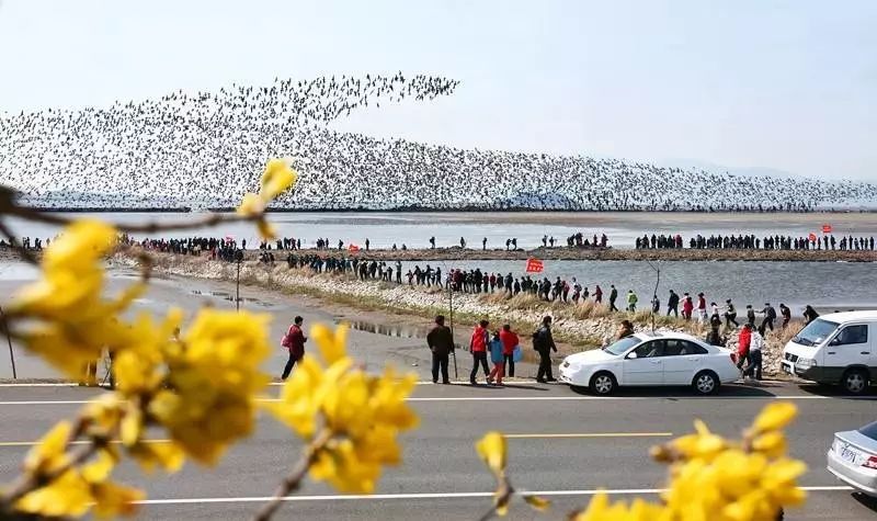 自助丹东凤凰山旅游攻略-丹东凤凰山自驾游攻略(图10) 丹东凤凰山自驾游攻略_丹东凤凰山附近有什么吃的_自助丹东凤凰山旅游攻略