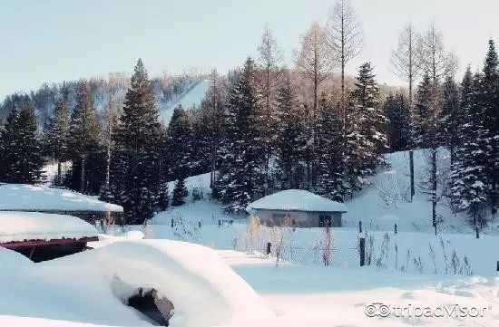 阿尔卑斯山旅行_阿尔卑斯山旅游准备衣服攻略_去阿尔卑斯山脉旅行多少钱