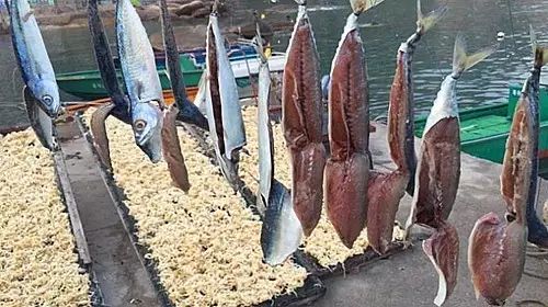 庙湾岛旅游攻略_庙湾岛旅游平时多少钱_庙湾岛民宿