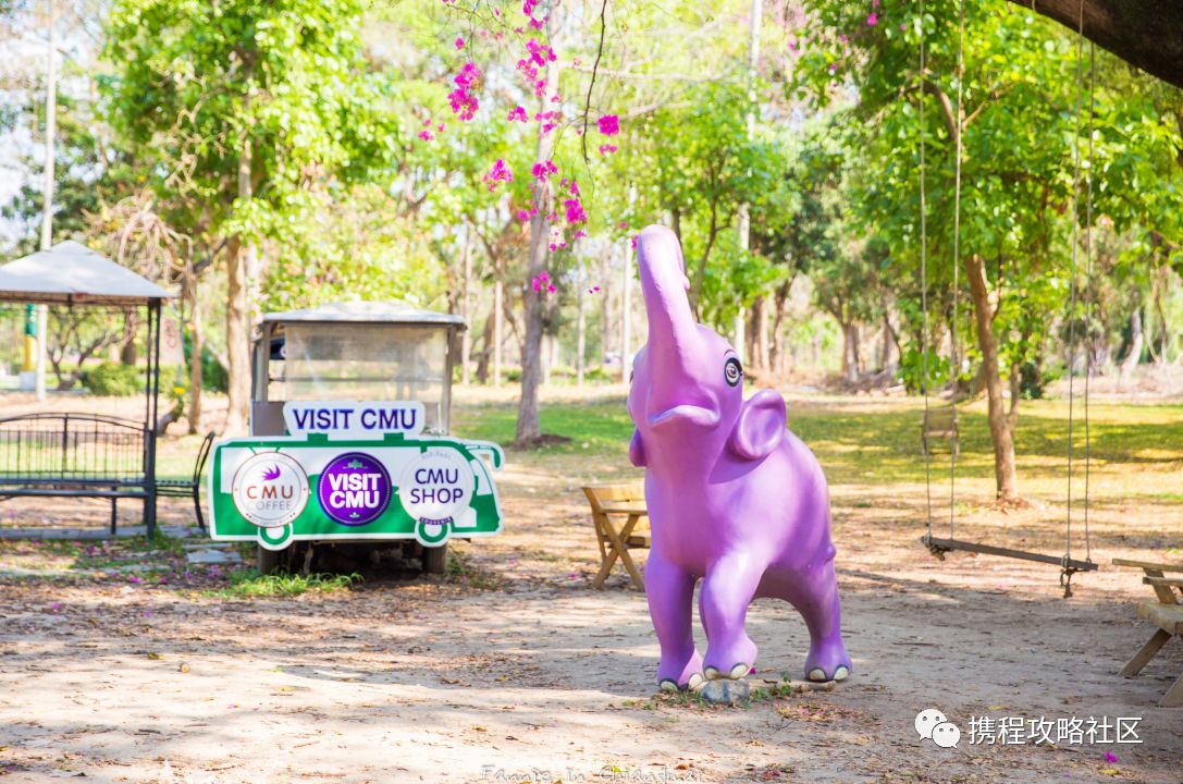 沙美岛旅游攻略-岛旅游景点(图20) 沙美岛旅游攻略_岛旅游景点_沙岛有什么好玩的