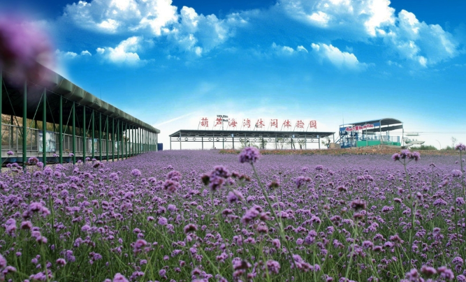 北京葫芦岛在哪_北京葫芦岛自驾游攻略_北京葫芦岛旅游攻略