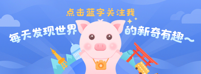 瓦纳卡旅游攻略_瓦纳攻略旅游卡怎么用_瓦纳卡小镇