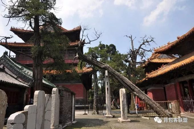 曲阜孔府门票价格_曲阜孔府旅游攻略_曲阜孔府孔庙旅游攻略