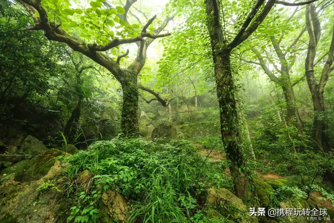 从苏州去嵊泗岛自助游攻略_苏州到嵊泗列岛游玩攻略_苏州到嵊泗旅游攻略