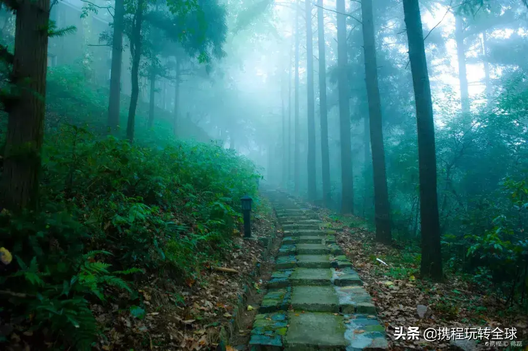 苏州到嵊泗旅游攻略_苏州到嵊泗列岛游玩攻略_从苏州去嵊泗岛自助游攻略