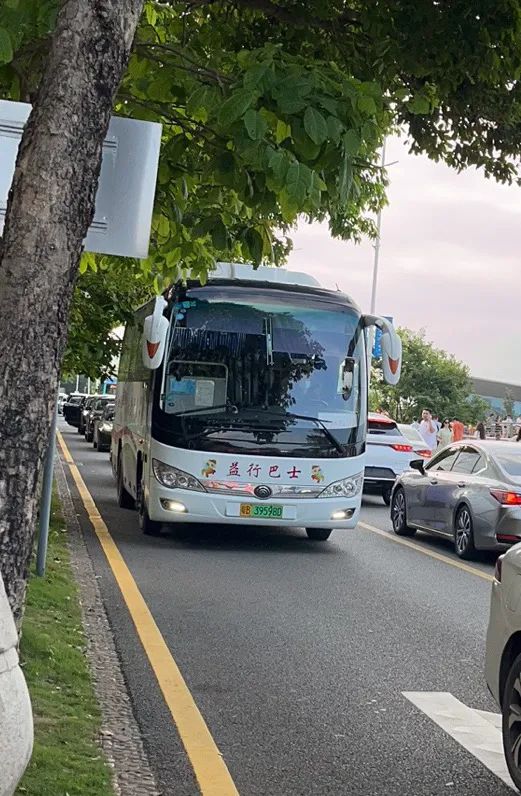 自驾攻略旅游游杨梅坑路线_杨梅坑自驾游旅游攻略_2021杨梅坑自驾游路线
