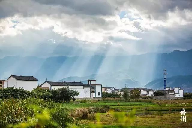 乌镇攻略广州旅游到哪里好玩_广州到乌镇旅游攻略_广州去乌镇旅游