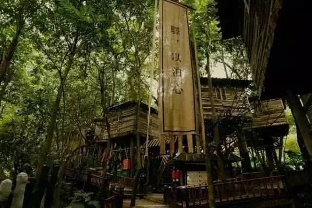 乌镇攻略广州旅游到哪里好玩_广州到乌镇旅游攻略_广州去乌镇旅游
