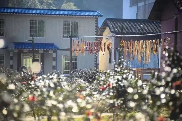 广州到乌镇旅游攻略_广州去乌镇旅游_乌镇攻略广州旅游到哪里好玩