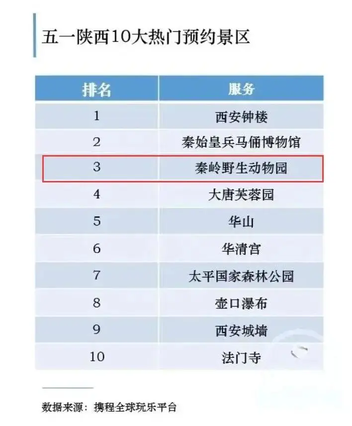 白鹿森林公园好玩不_白鹿森林公园旅游攻略_白鹿国家森林公园