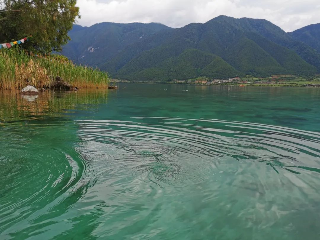 鼓浪屿游玩攻略_鼓浪屿旅游美食攻略_鼓浪屿景点攻略