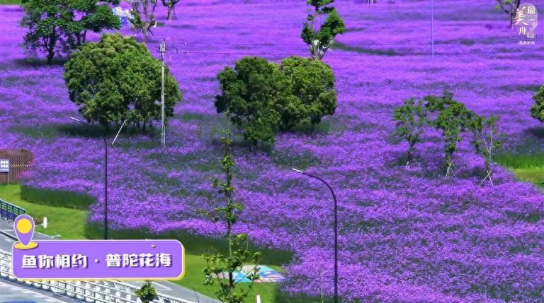 2024朱家尖旅游攻略_朱家尖攻略_朱家尖景区时间
