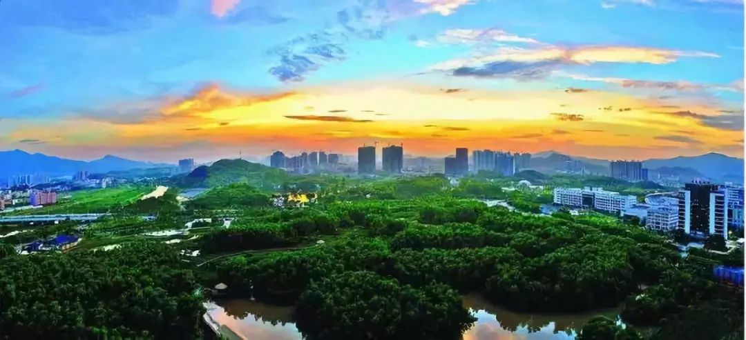 大亚湾景点旅游攻略_大亚湾旅游攻略自助游_大亚湾旅游攻略