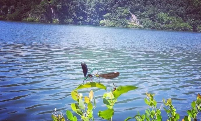 蔚县小五台山好玩吗_蔚县小五台山旅游景点_蔚县小五台山旅游攻略