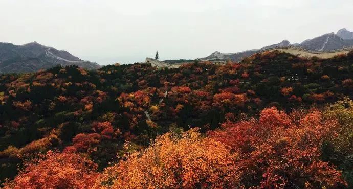 蔚县小五台山好玩吗_蔚县小五台山旅游景点_蔚县小五台山旅游攻略