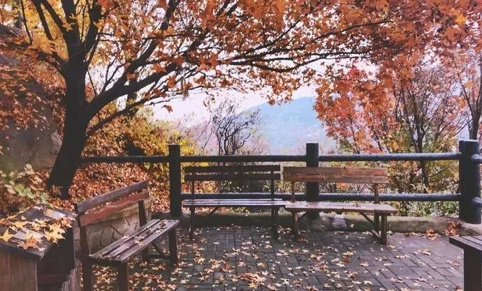 蔚县小五台山旅游攻略_蔚县小五台山好玩吗_蔚县小五台山旅游景点