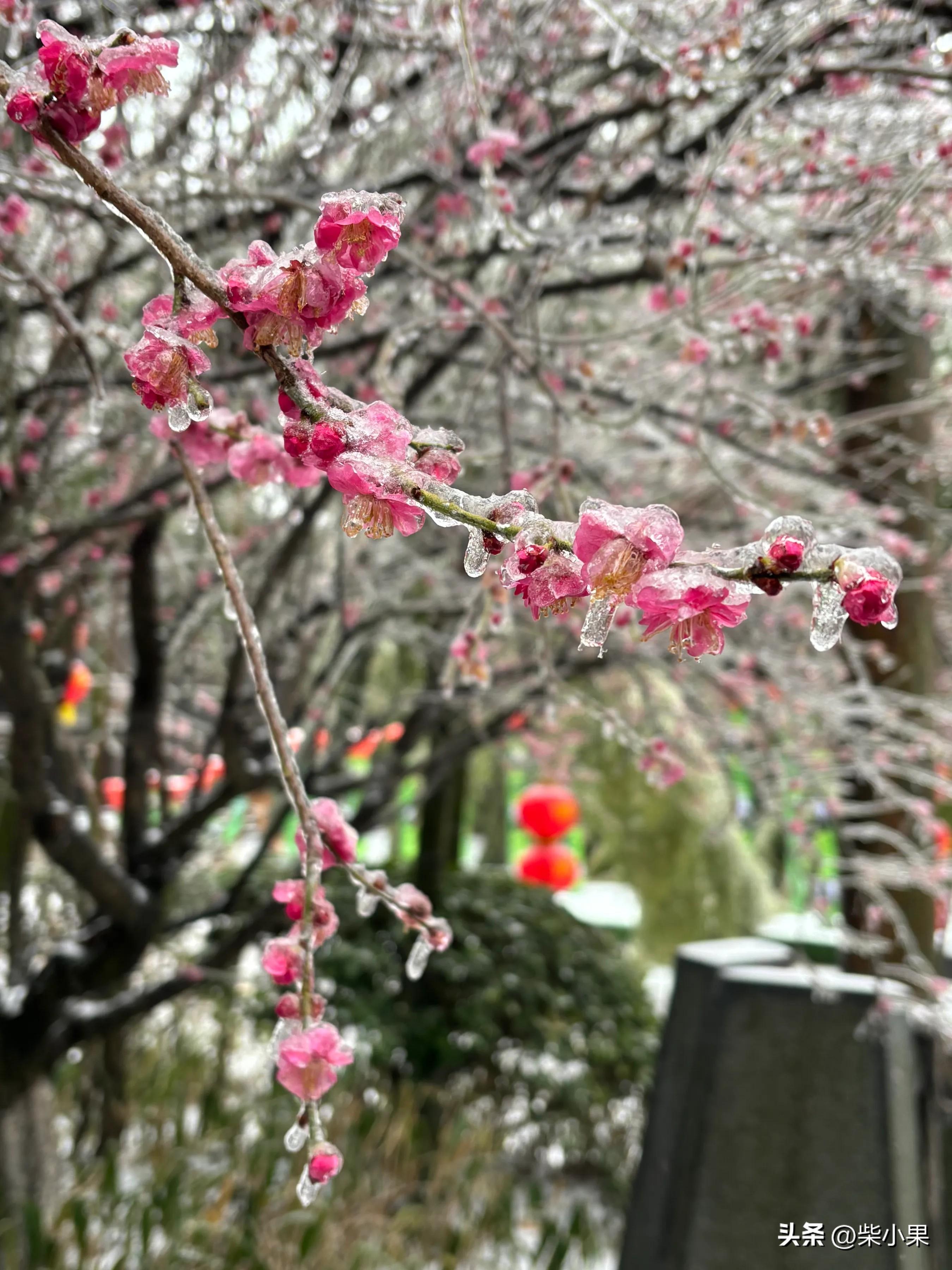 江苏溧阳旅游景点_溧阳旅游推荐_江苏溧阳旅游攻略