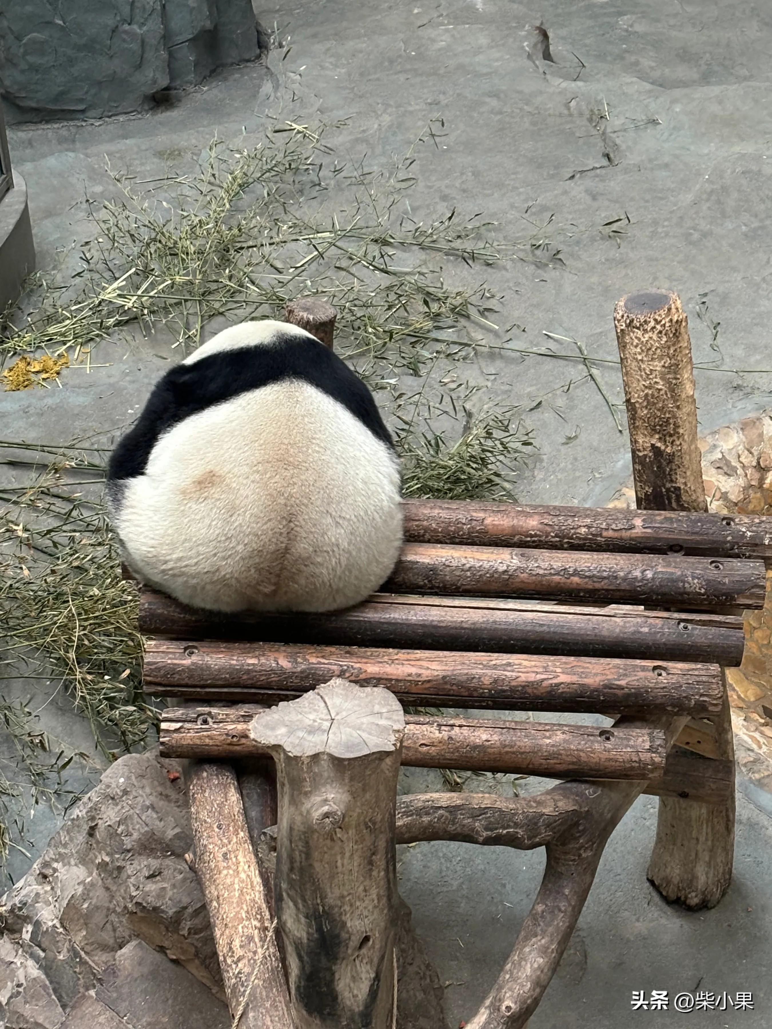 江苏溧阳旅游景点_溧阳旅游推荐_江苏溧阳旅游攻略